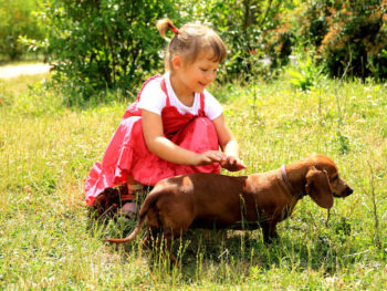 girl playing with dachshund